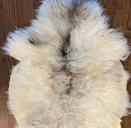 NorwegianSheepskin HF 0717